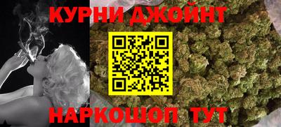 гидра Рязань