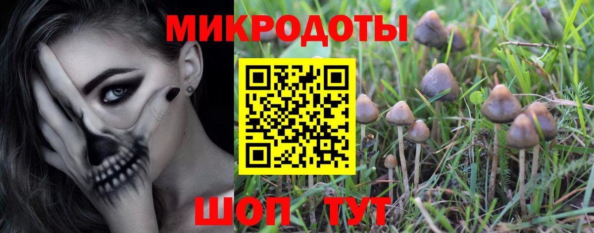 Галлюциногенные грибы Cubensis  дарнет шоп  Артём  Псилоцибиновые грибы мухоморы  Вход с VPN 